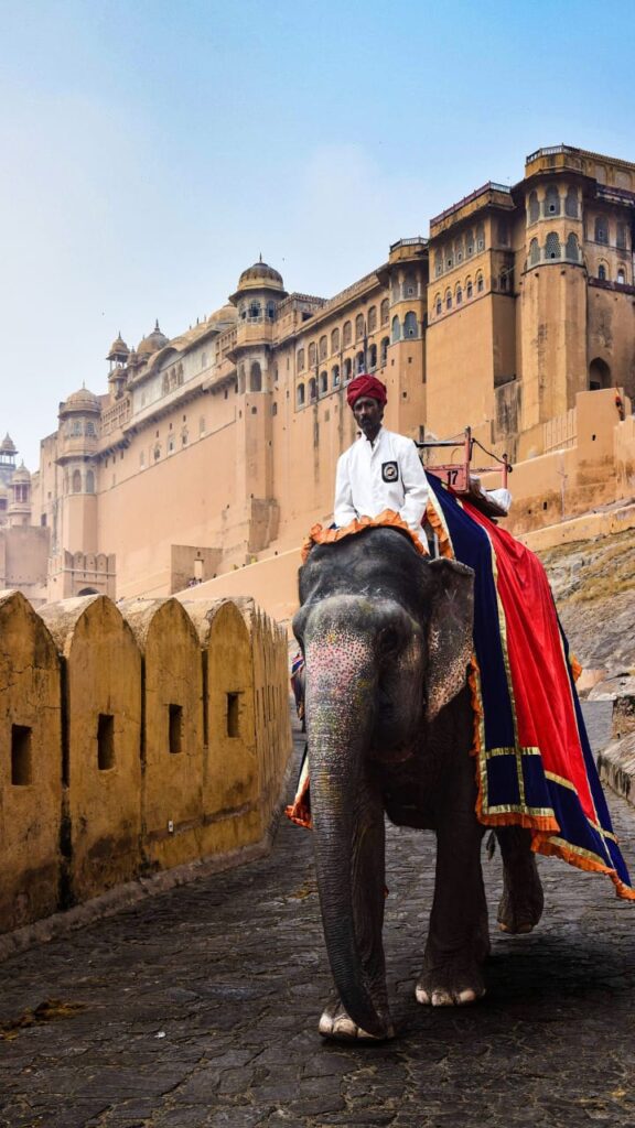 elephant ride in famous fort